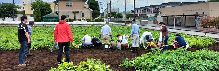 芋掘り